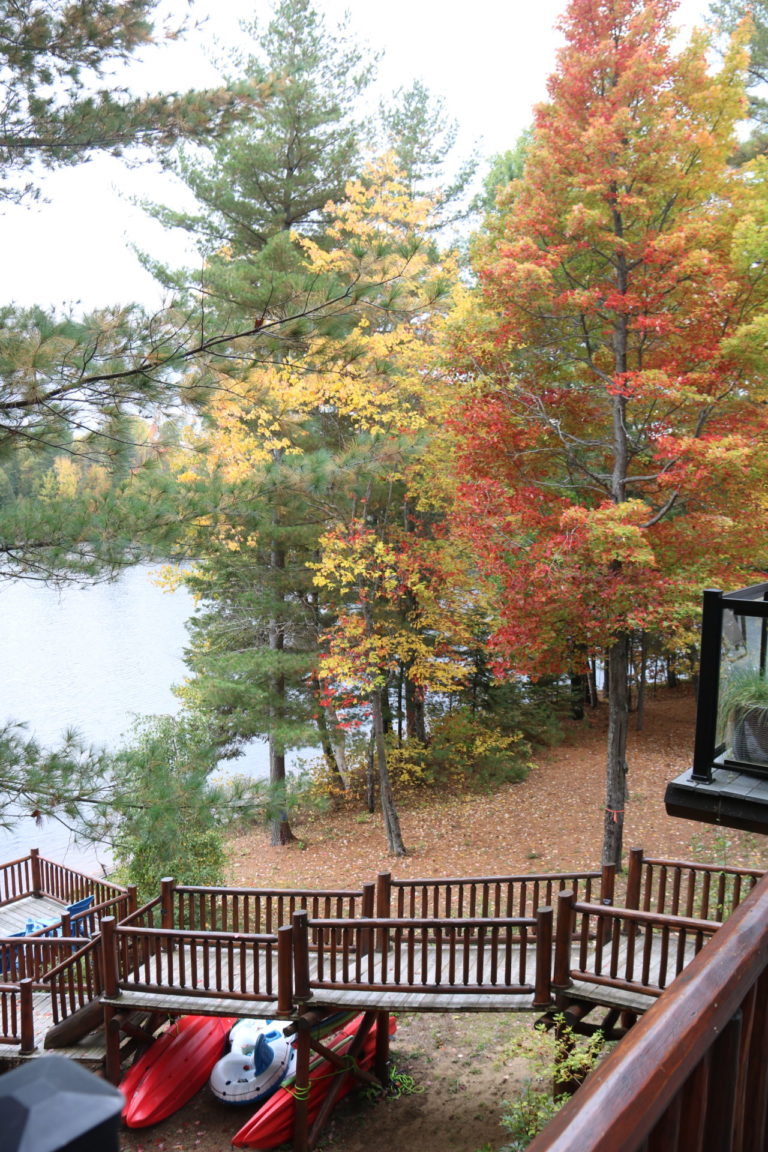 grounds with fall trees