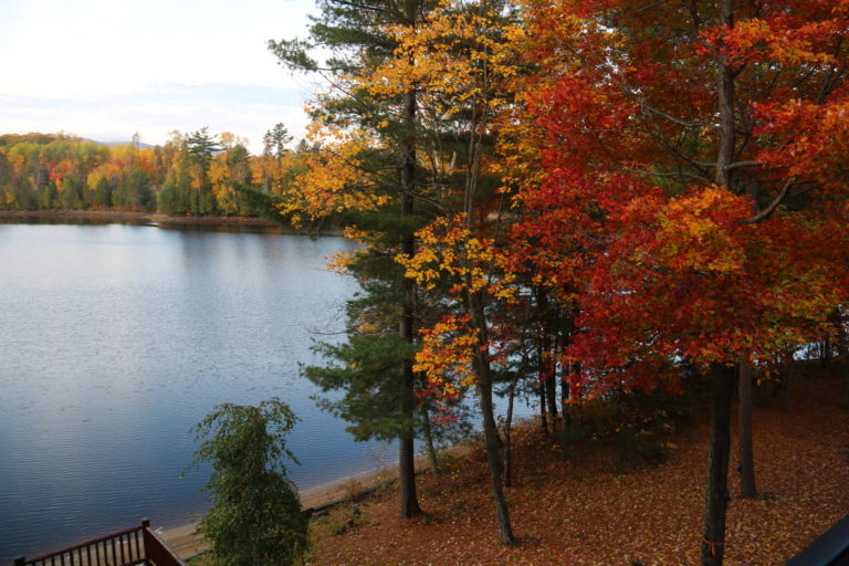 fall trees by lake