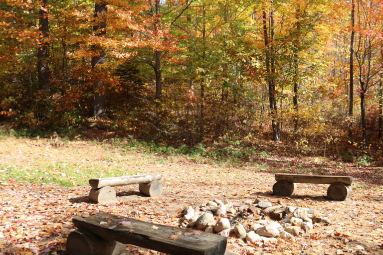 firepit with fall trees behind