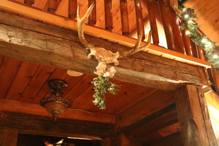 mistletoe hanging from antlers