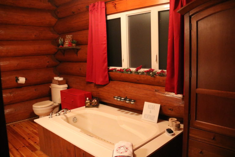 bathroom with red trim and berries on windowsill