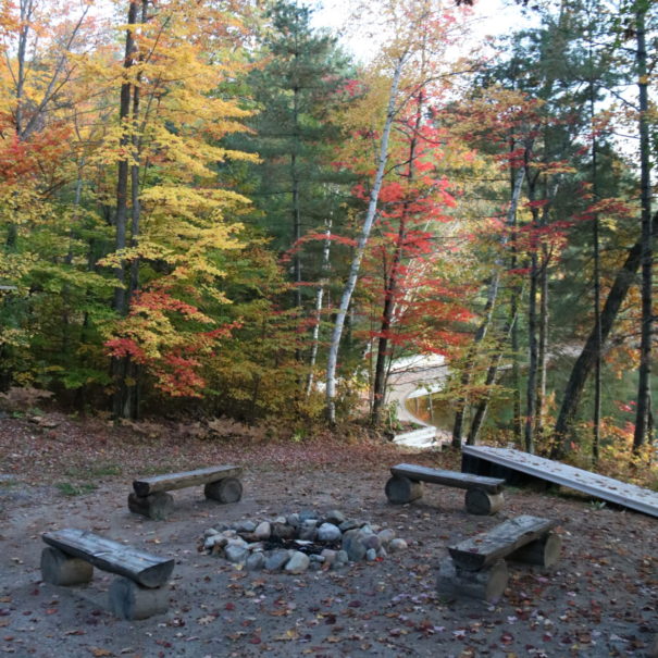 firepit with fall trees