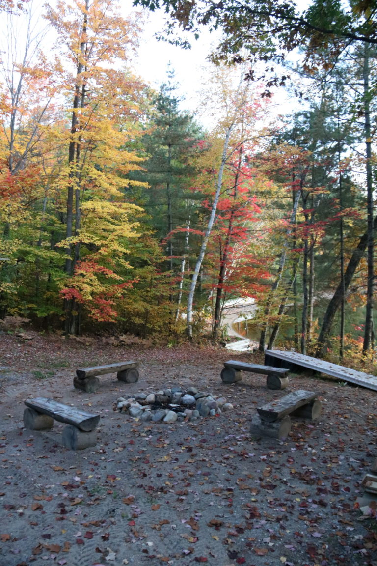 firepit with fall trees