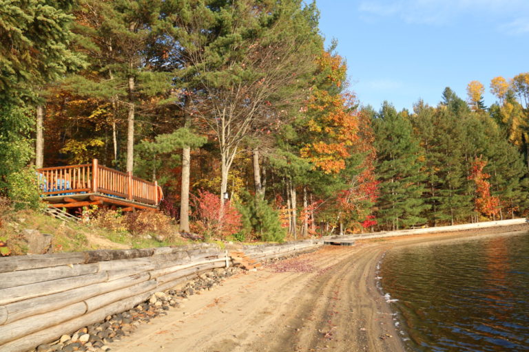 autumn trees with beach and lake