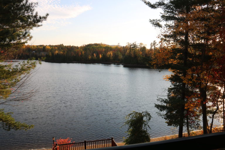 view of fall trees in water