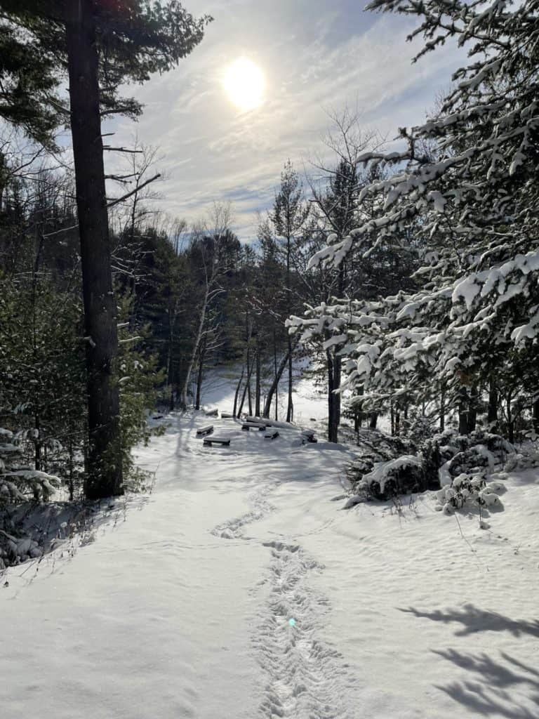 trail at log cottage near ottawa