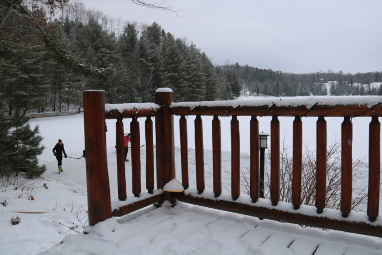 lake view during winter at log cottage ottawa