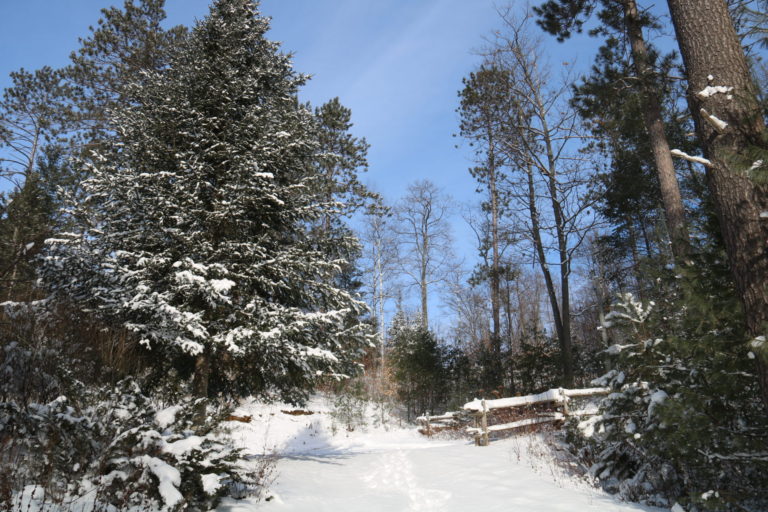 road with snow