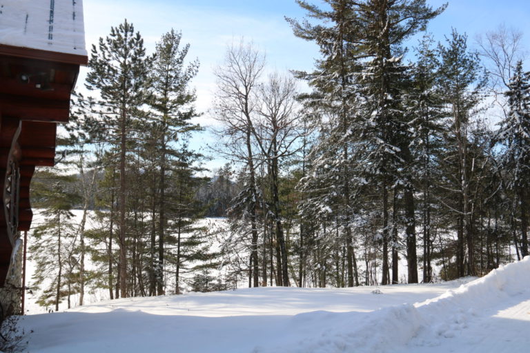 cottage in winter