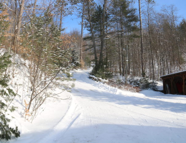 road to cottage near ottawa